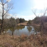 Hunting Recreational Land For Sale images 5
