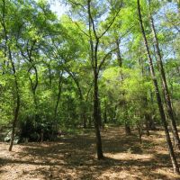 Moran s Prairie Hunting Recreation Tract images 2