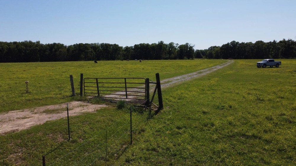 101.3 - acres Cornering Callahan Rd and Cypress Creek Rd Oakdale La 71463 featured image