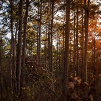 Hickory Wind Farm images 4
