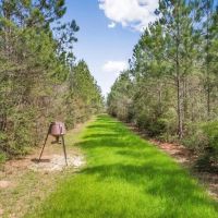 48 Acre Hunting Tract in Pike County