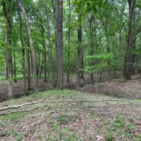 90.2 Acres in Quitman County MS images 4