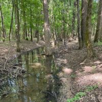 90.2 Acres in Quitman County MS images 5