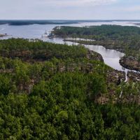 40.8 acres of Residential and Recreational Timberland For Sale in Beaufort County NC images 3