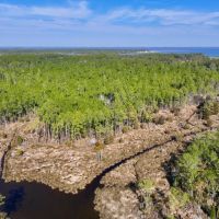 40.8 acres of Residential and Recreational Timberland For Sale in Beaufort County NC images 4