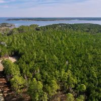 40.8 acres of Residential and Recreational Timberland For Sale in Beaufort County NC images 5