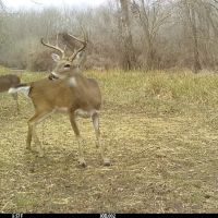 Clear Springs Ranch 187 acres m l images 2