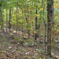 20 AC ON BENGAL MOUNTAIN images 5