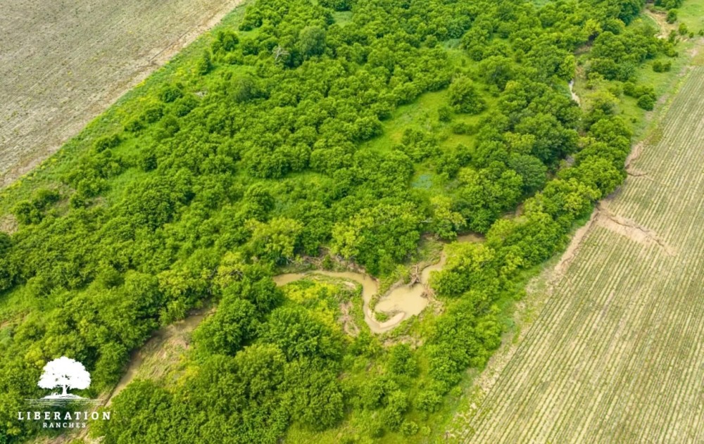 Itasca Tract 10 11 Acres Only 15K Down featured image