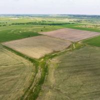 Itasca Tract 10 11 Acres Only 15K Down images 3