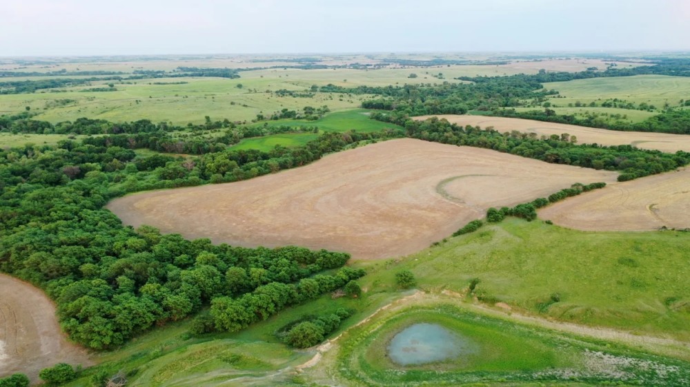Lutz Ranch - 1 148.14 - Acres Pasture Dryland in Phillips County KS featured image