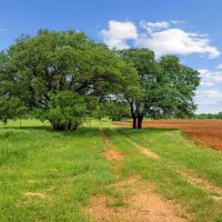 10708 County Road 187 Breckenridge Texas 76424 images 2
