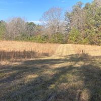 Calera Tract images 3