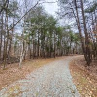 .90 acre Homesite Lot in Central Alamance County NC images 4