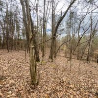.90 acre Homesite Lot in Central Alamance County NC images 5