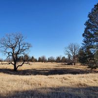 Sunny Divide Acreage images 3