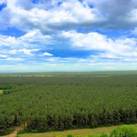 Hull Tract 2 11 Acres Only 15K Down