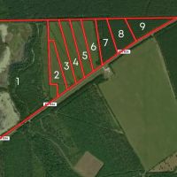 Hull Tract 2 11 Acres Only 15K Down images 3