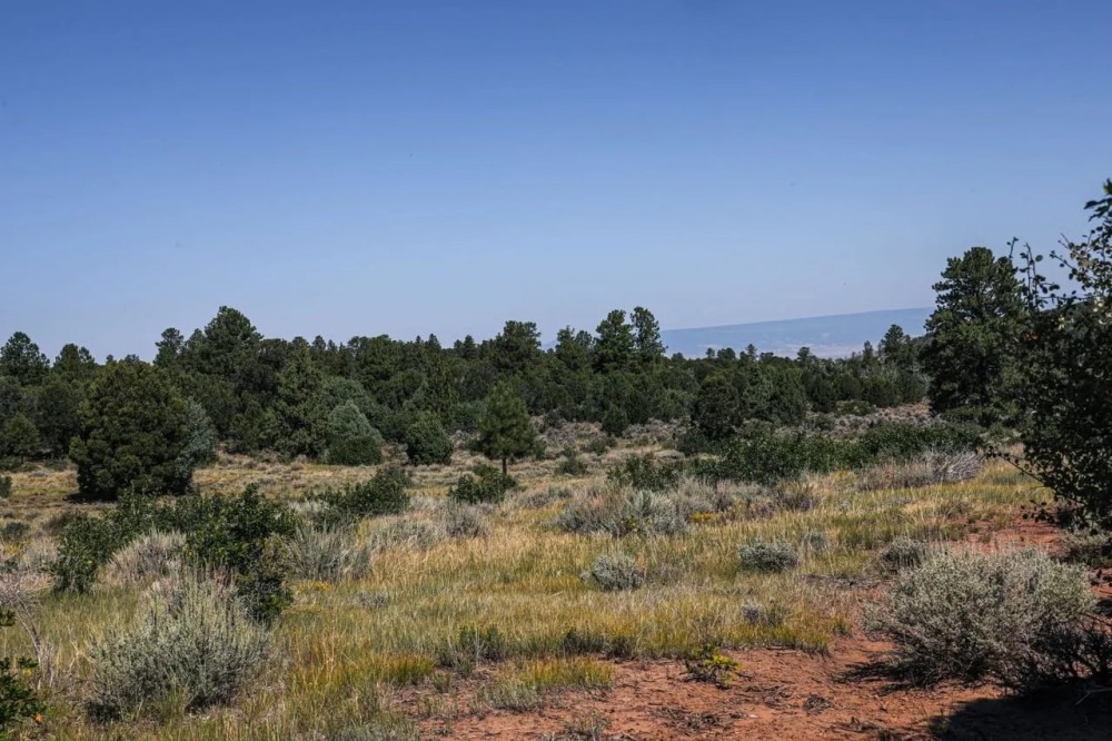 Aspen Lot 1 featured image