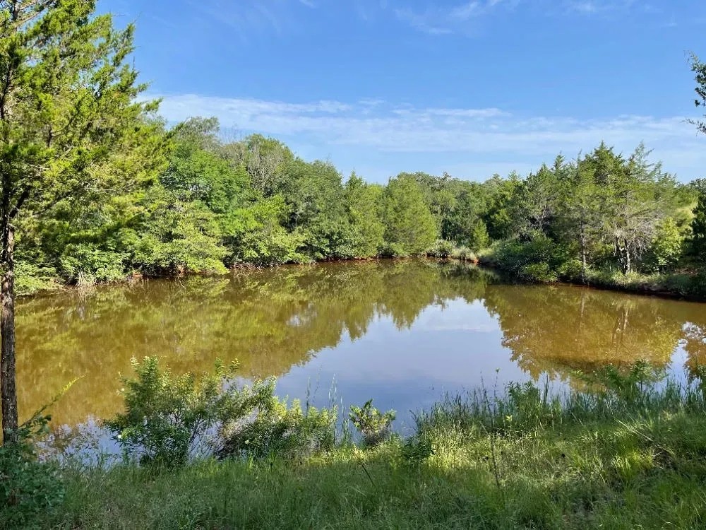 Hunt Fish and Farm this 63 Acres featured image
