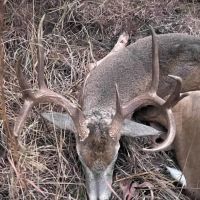 Hunt Fish and Farm this 63 Acres images 2