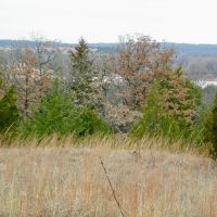 Hunt Fish and Farm this 63 Acres images 3