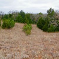 Hunt Fish and Farm this 63 Acres images 4