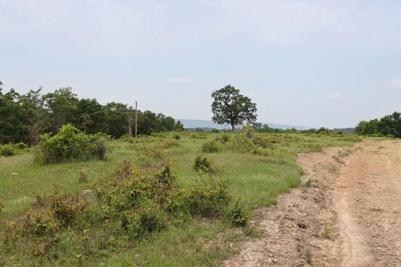 Smithville Tract 4—1 Acre More Or Less featured image