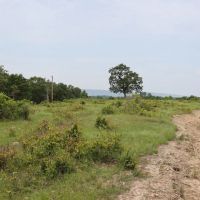 Smithville Tract 4—1 Acre More Or Less