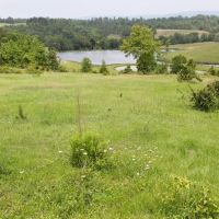 Smithville Tract 4—1 Acre More Or Less images 3