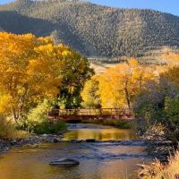 Bow Fiddle Ranch