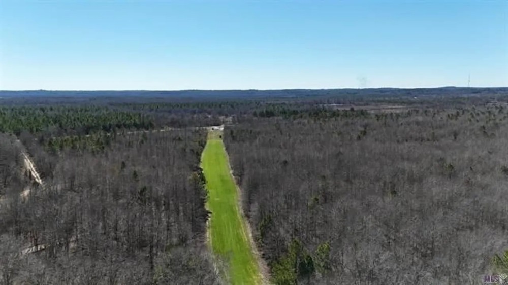 550 Acre Hunting Property w Camp Ouachita River featured image