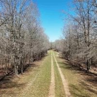 550 Acre Hunting Property w Camp Ouachita River images 5
