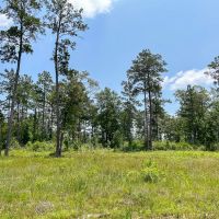 30 Acres Grimes Cemetery Road images 4