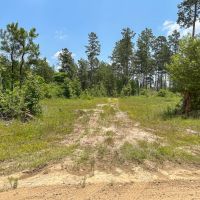 30 Acres Grimes Cemetery Road images 5