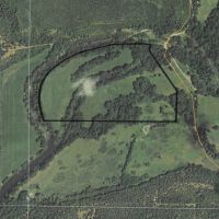 71.2 ACRES LITTLE RIVER FRONTAGE images 2