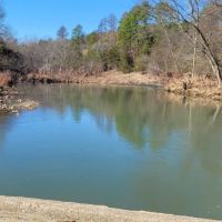 71.2 ACRES LITTLE RIVER FRONTAGE images 3