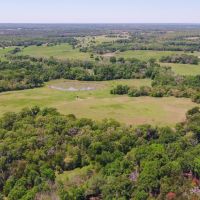113 Acres in Milam County