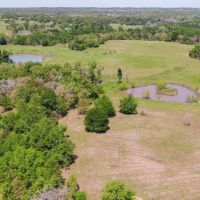 113 Acres in Milam County images 4