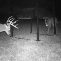 Owl Creek Bottom Crop Hunting and Build Site images 4