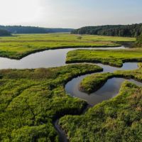 Stonehouse Preserve images 5