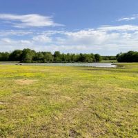 Shady Grove 90 Acres images 4