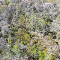 92 Acres 2932 FM 1462 images 5