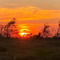 Land for Sale in Texas images 4