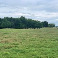 206.13 Acre Oklahoma Cattle Ranch Coalgate OK