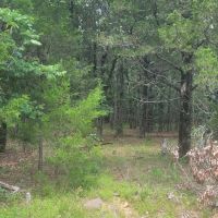 JOSLIN VALLEY Tract B images 5
