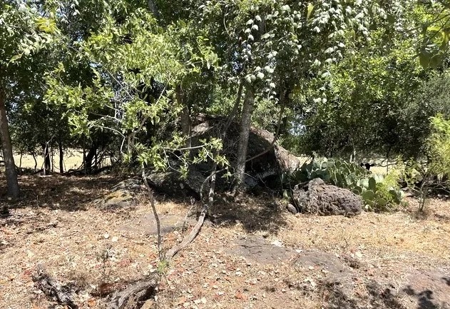 Lot 2 Turkeyfoot Ln featured image