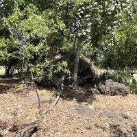 Lot 2 Turkeyfoot Ln images 1