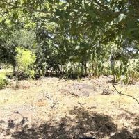 Lot 2 Turkeyfoot Ln images 2