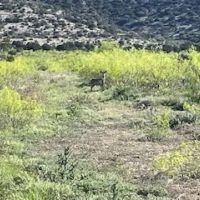 West Texas Pecos River Lake Ranch near Fort Lancaster images 4